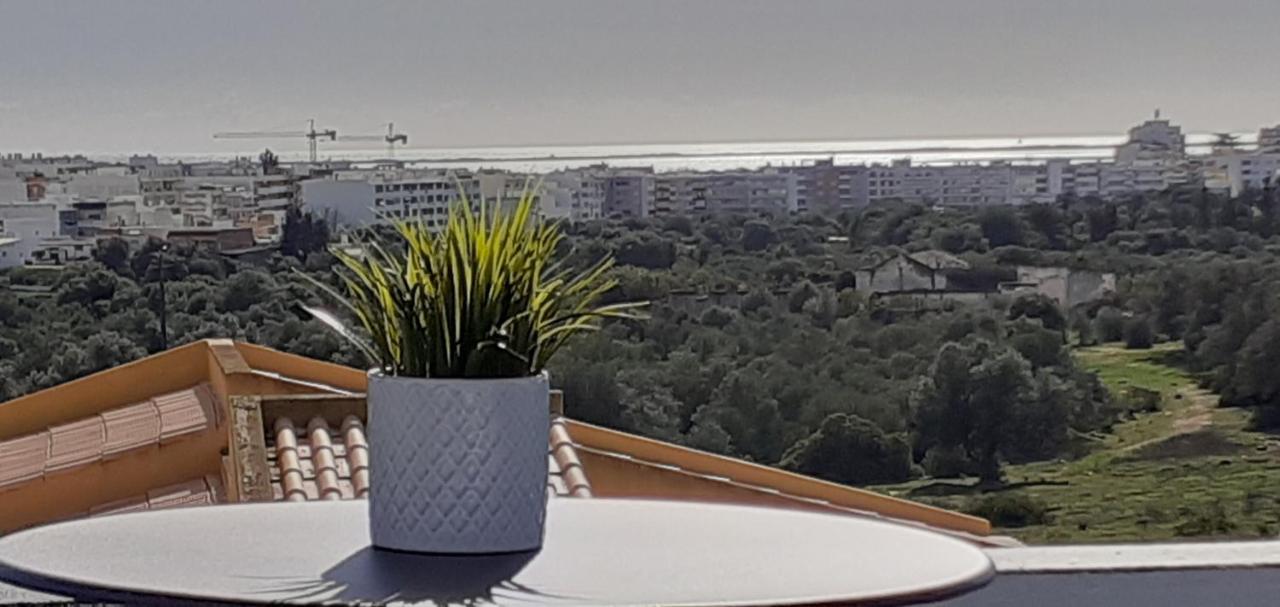 Lovely New House - Guests Apartments Олян Екстер'єр фото